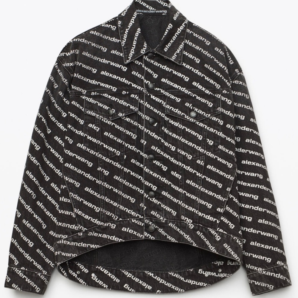 Alexander Wang Falling Back Logo Jacket Size L w/original receipt